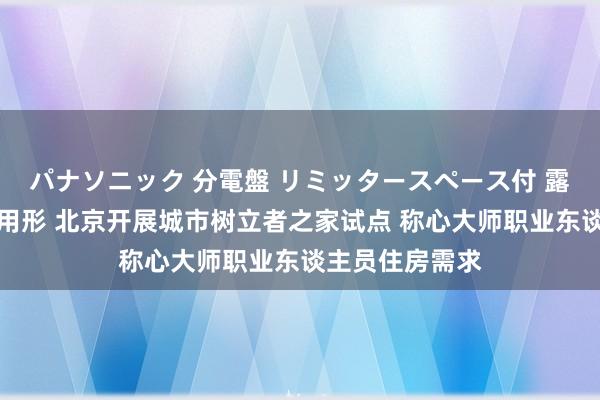 パナソニック 分電盤 リミッタースペース付 露出・半埋込両用形 北京开展城市树立者之家试点 称心大师职业东谈主员住房需求