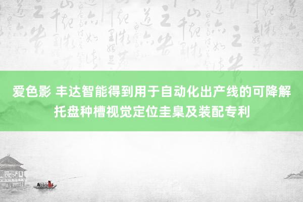 爱色影 丰达智能得到用于自动化出产线的可降解托盘种槽视觉定位圭臬及装配专利