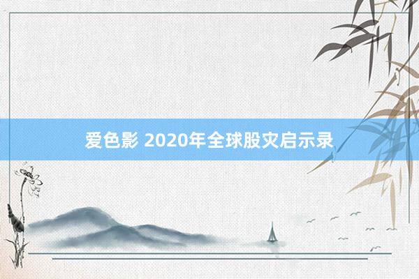爱色影 2020年全球股灾启示录