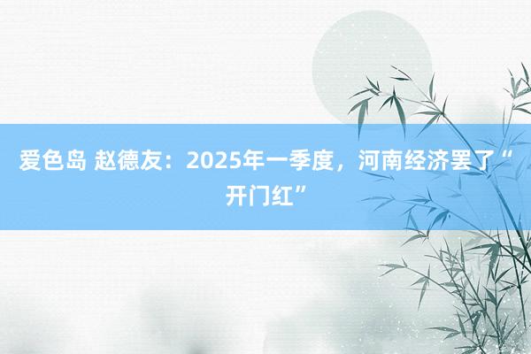爱色岛 赵德友：2025年一季度，河南经济罢了“开门红”