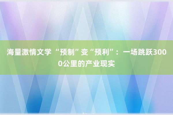 海量激情文学 “预制”变“预利”：一场跳跃3000公里的产业现实