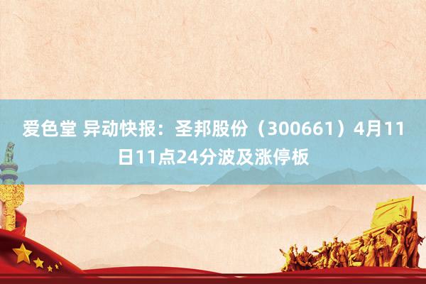 爱色堂 异动快报：圣邦股份（300661）4月11日11点24分波及涨停板
