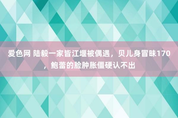 爱色网 陆毅一家皆江堰被偶遇，贝儿身冒昧170，鲍蕾的脸肿胀僵硬认不出