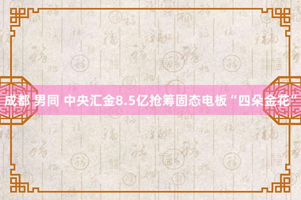成都 男同 中央汇金8.5亿抢筹固态电板“四朵金花”