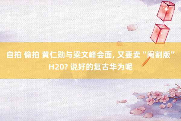 自拍 偷拍 黄仁勋与梁文峰会面， 又要卖“阉割版”H20? 说好的复古华为呢