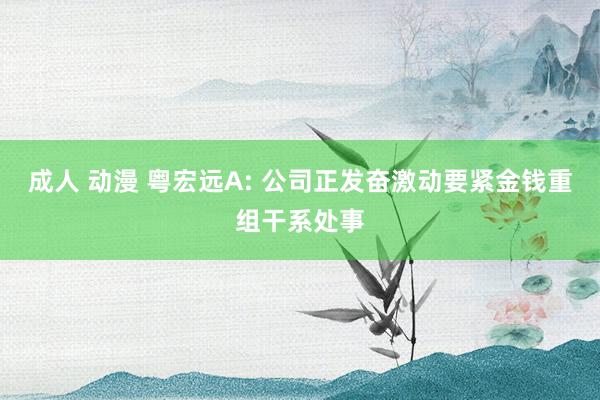 成人 动漫 粤宏远A: 公司正发奋激动要紧金钱重组干系处事