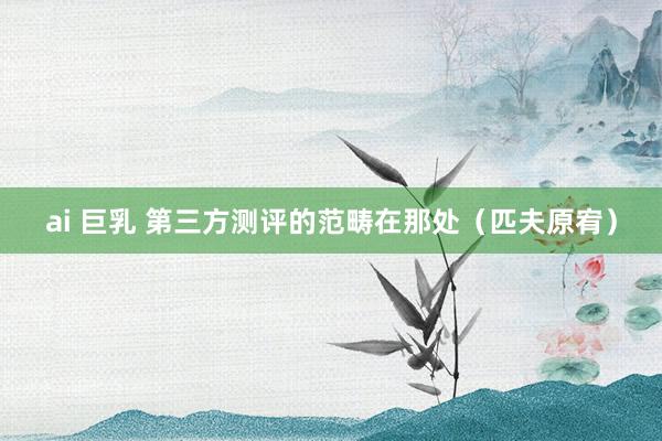 ai 巨乳 第三方测评的范畴在那处（匹夫原宥）