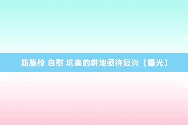 筋膜枪 自慰 坑害的耕地亟待复兴（曝光）