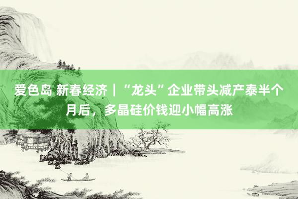 爱色岛 新春经济｜“龙头”企业带头减产泰半个月后，多晶硅价钱迎小幅高涨
