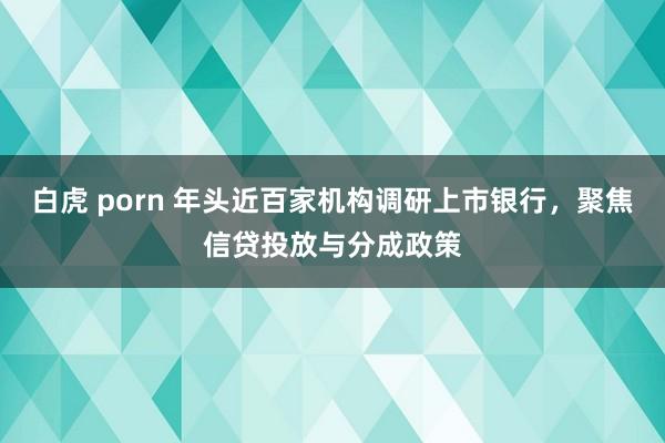 白虎 porn 年头近百家机构调研上市银行，聚焦信贷投放与分成政策