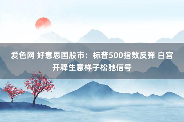 爱色网 好意思国股市：标普500指数反弹 白宫开释生意样子松驰信号