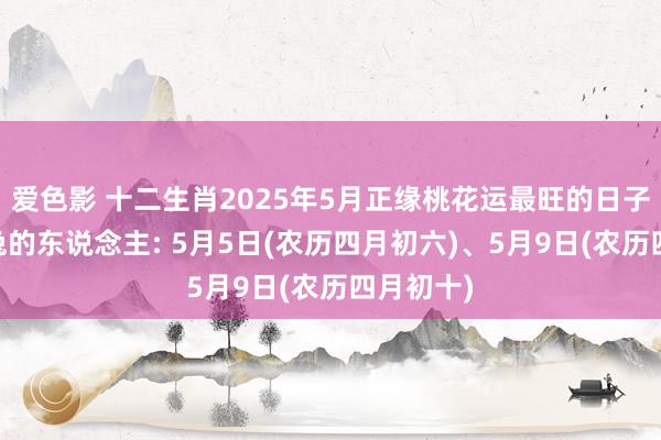 爱色影 十二生肖2025年5月正缘桃花运最旺的日子揭秘 属兔的东说念主: 5月5日(农历四月初六)、5月9日(农历四月初十)
