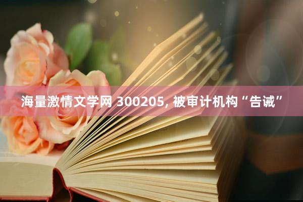 海量激情文学网 300205， 被审计机构“告诫”