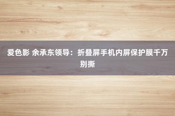 爱色影 余承东领导：折叠屏手机内屏保护膜千万别撕