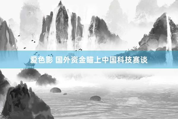 爱色影 国外资金瞄上中国科技赛谈