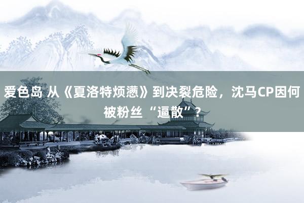 爱色岛 从《夏洛特烦懑》到决裂危险，沈马CP因何被粉丝 “逼散”？