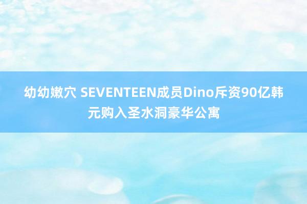 幼幼嫩穴 SEVENTEEN成员Dino斥资90亿韩元购入圣水洞豪华公寓